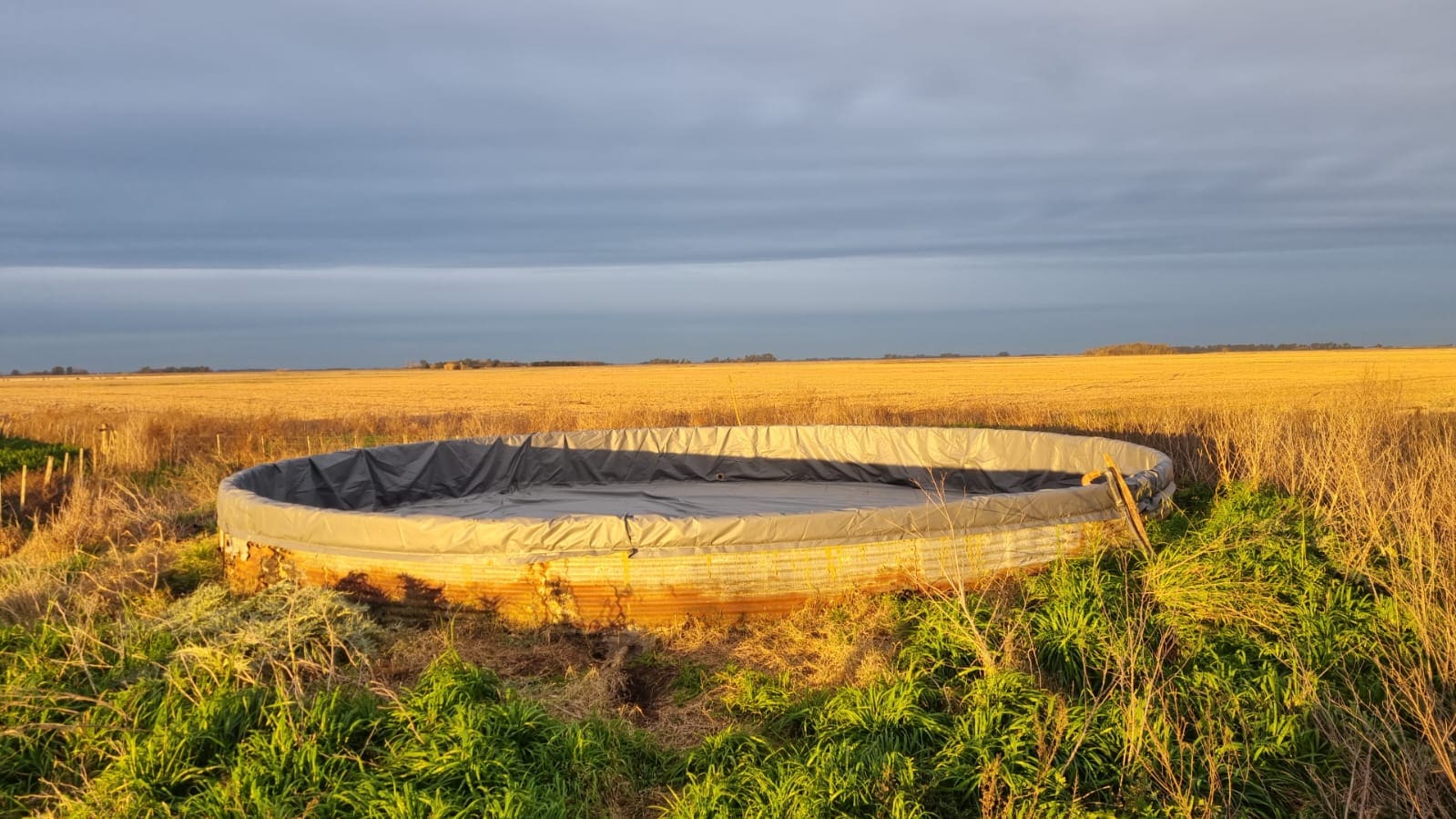 Tanque australiano con funda gris al atardecer